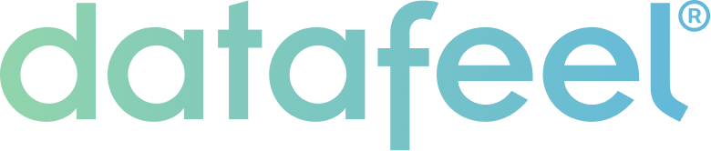 DataFeel logo